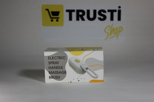 Brosse de Massage Électrique avec Pulvérisation